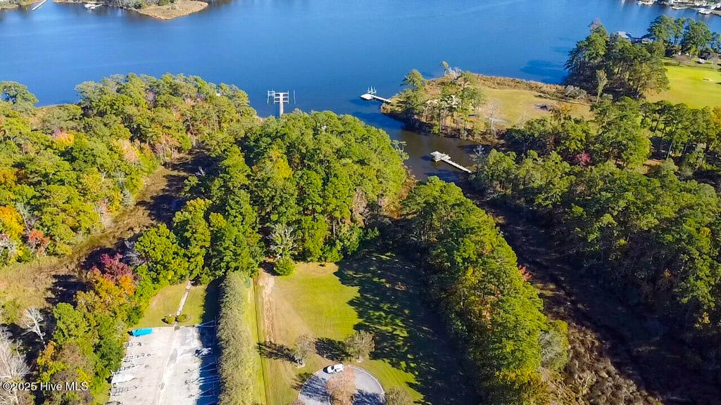 Photo of 177 Carolina Way, Arapahoe, NC 28510 (MLS # 100540736)