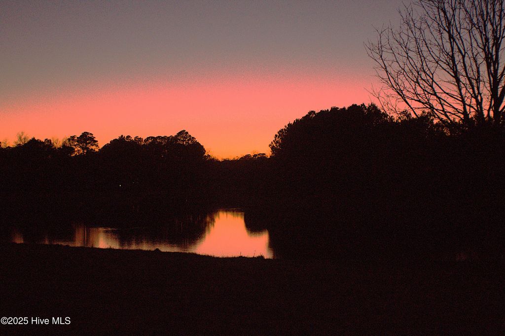 Photo of 134 Sycamore Lakes Drive, Wallace, NC 28466 (MLS # 100482259)