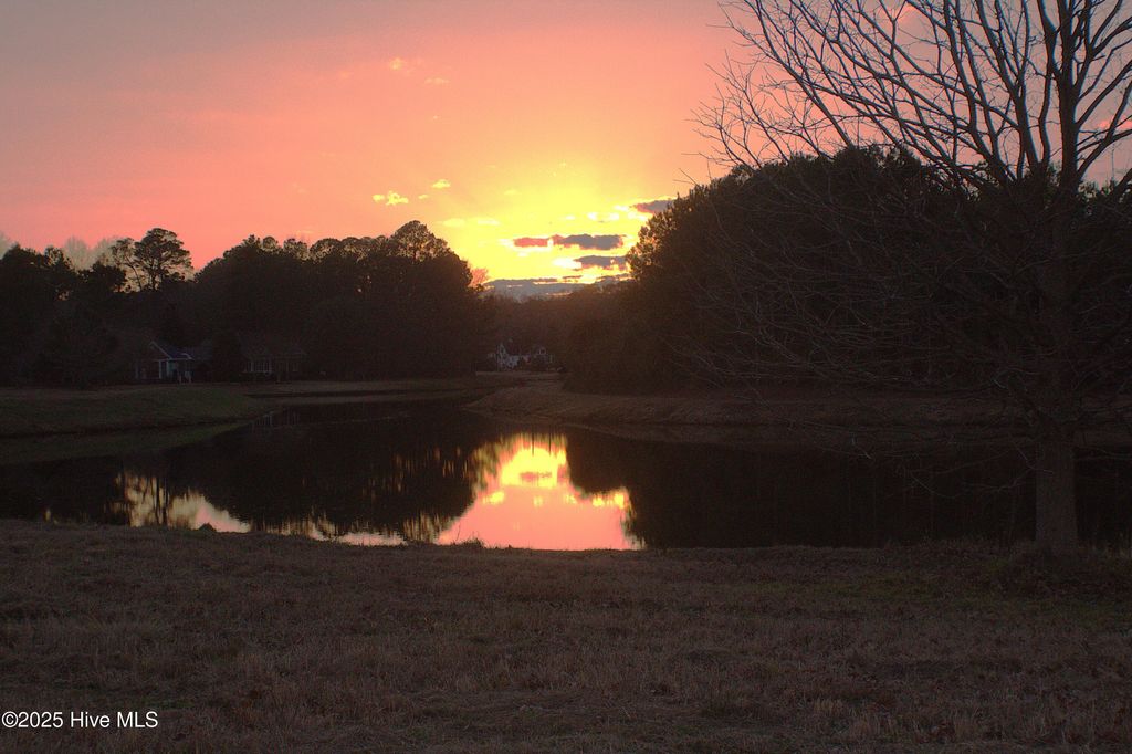 Photo of 134 Sycamore Lakes Drive, Wallace, NC 28466 (MLS # 100482259)