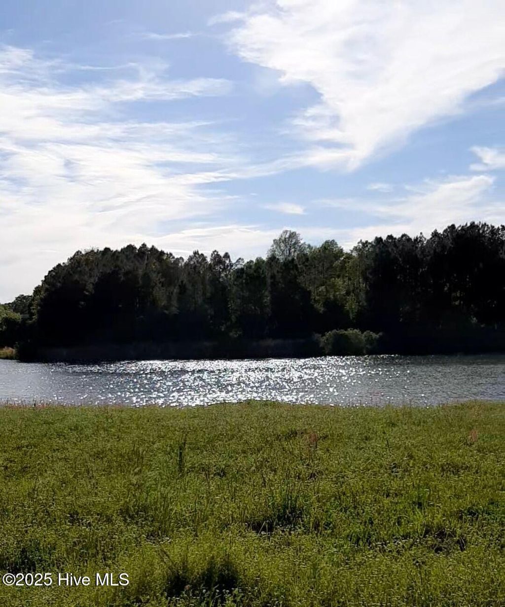 Photo of 134 Sycamore Lakes Drive, Wallace, NC 28466 (MLS # 100482259)