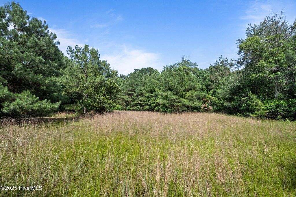 Photo of Tbd Remington Way, Richlands, NC 28574 (MLS # 100512856)