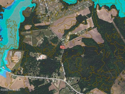 Tiny photo for 181 Cow Horn Road, Richlands, NC 28574 (MLS # 100542169)