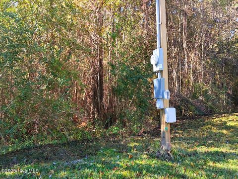 Tiny photo for 181 Cow Horn Road, Richlands, NC 28574 (MLS # 100542169)