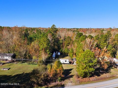 Photo of 181 Cow Horn Road, Richlands, NC 28574 (MLS # 100542169)