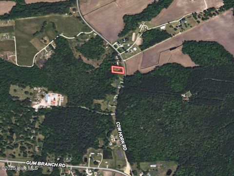 Tiny photo for 181 Cow Horn Road, Richlands, NC 28574 (MLS # 100542169)