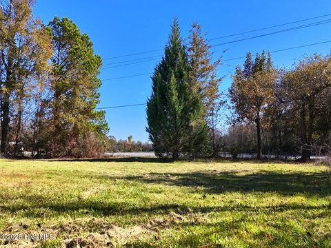 Tiny photo for 181 Cow Horn Road, Richlands, NC 28574 (MLS # 100542169)