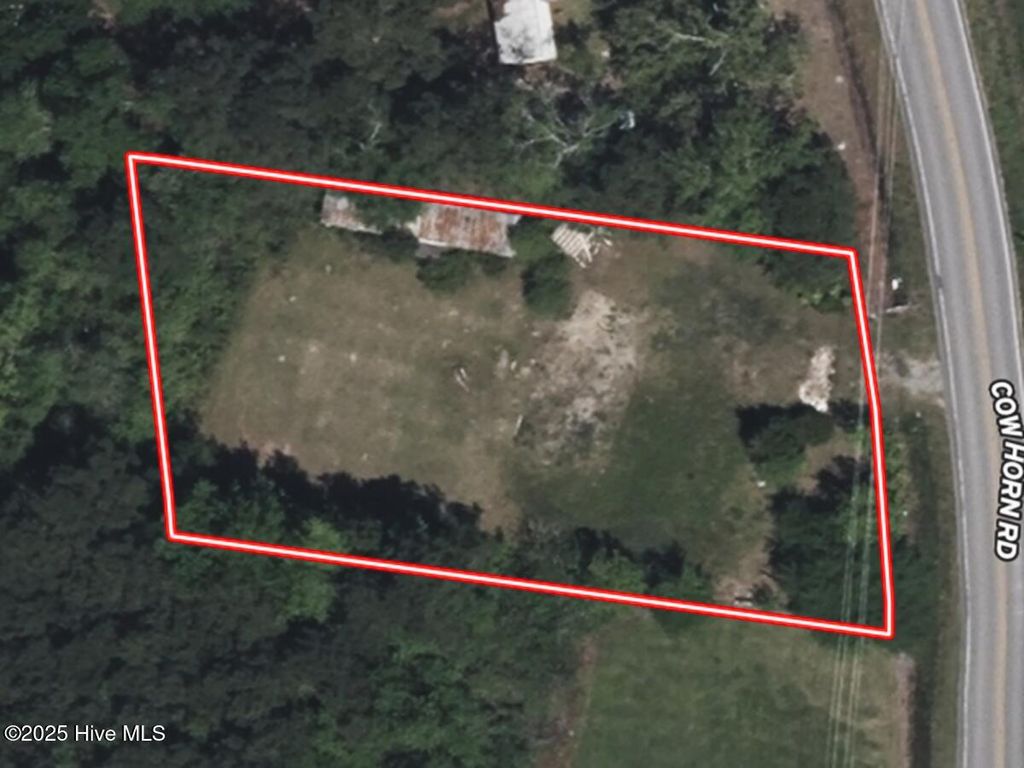 Photo of 181 Cow Horn Road, Richlands, NC 28574 (MLS # 100542169)