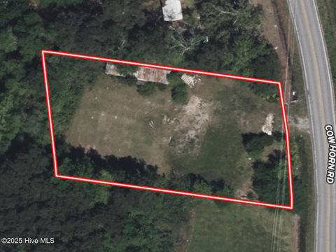 Tiny photo for 181 Cow Horn Road, Richlands, NC 28574 (MLS # 100542169)
