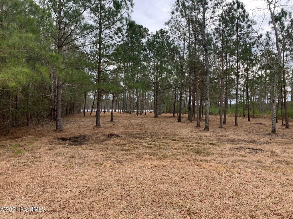 Photo of 37 Sunset Road, Belhaven, NC 27810 (MLS # 100513254)