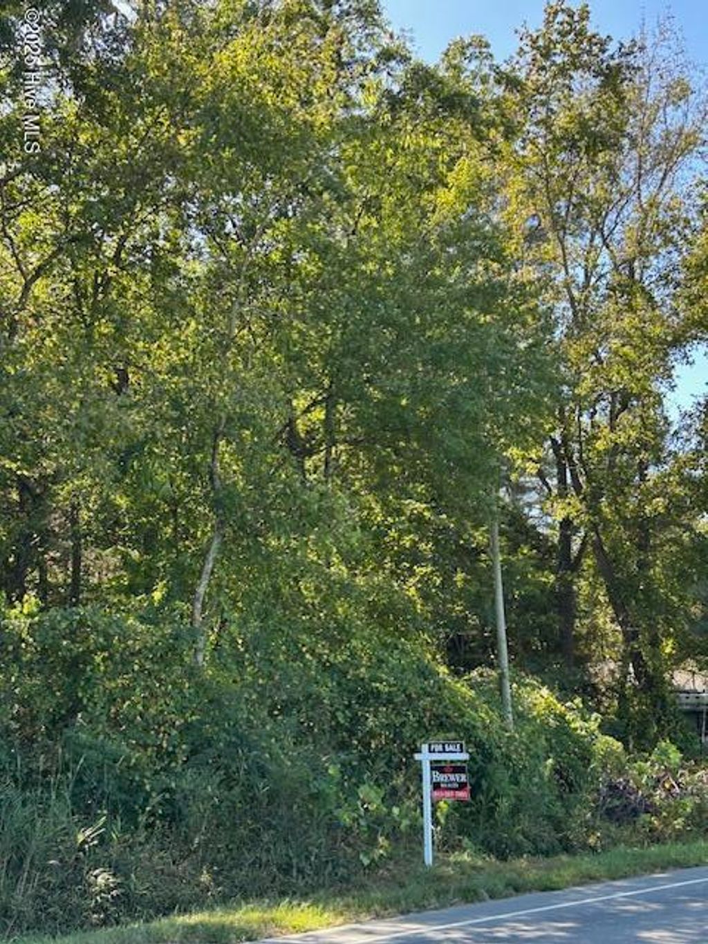 Photo of 1 Nc Hwy 403, Faison, NC 28341 (MLS # 100534256)