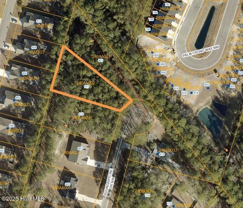 Photo of 817 Boundaryline Drive NW, Calabash, NC 28467 (MLS # 100541285)