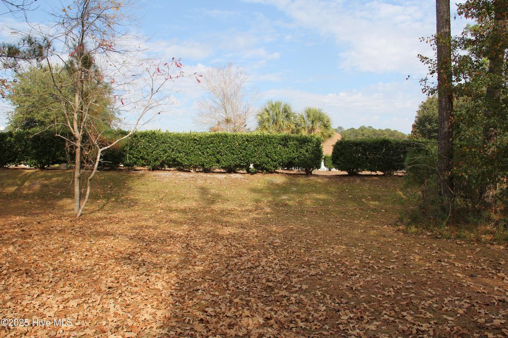 Photo of 1193 Sabel Loop SE, Bolivia, NC 28422 (MLS # 100543577)