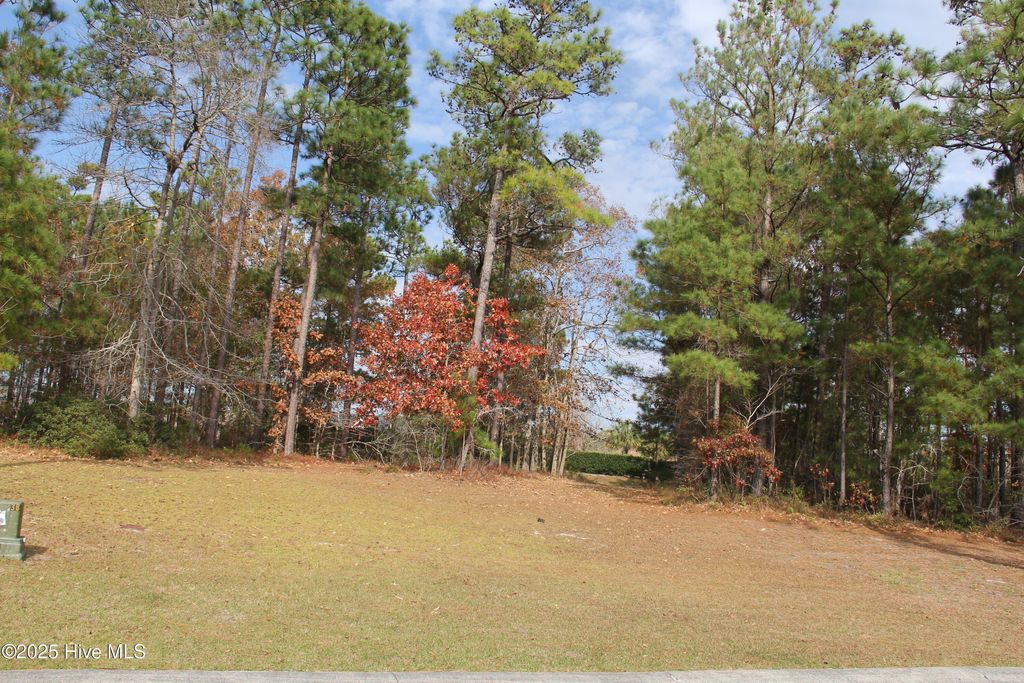 Photo of 1193 Sabel Loop SE, Bolivia, NC 28422 (MLS # 100543577)