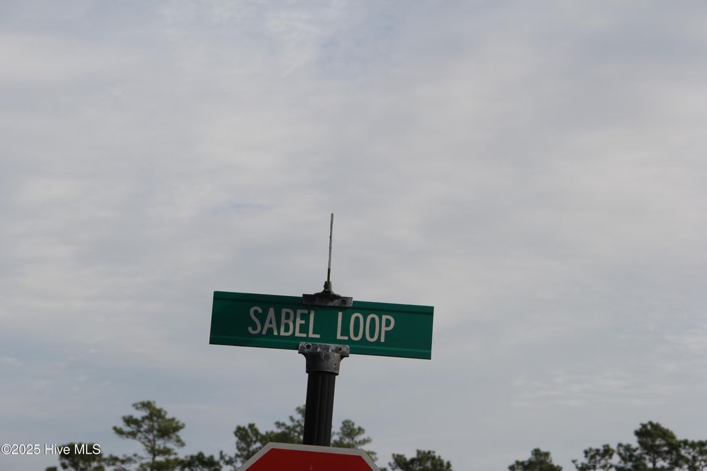 Photo of 1193 Sabel Loop SE, Bolivia, NC 28422 (MLS # 100543577)