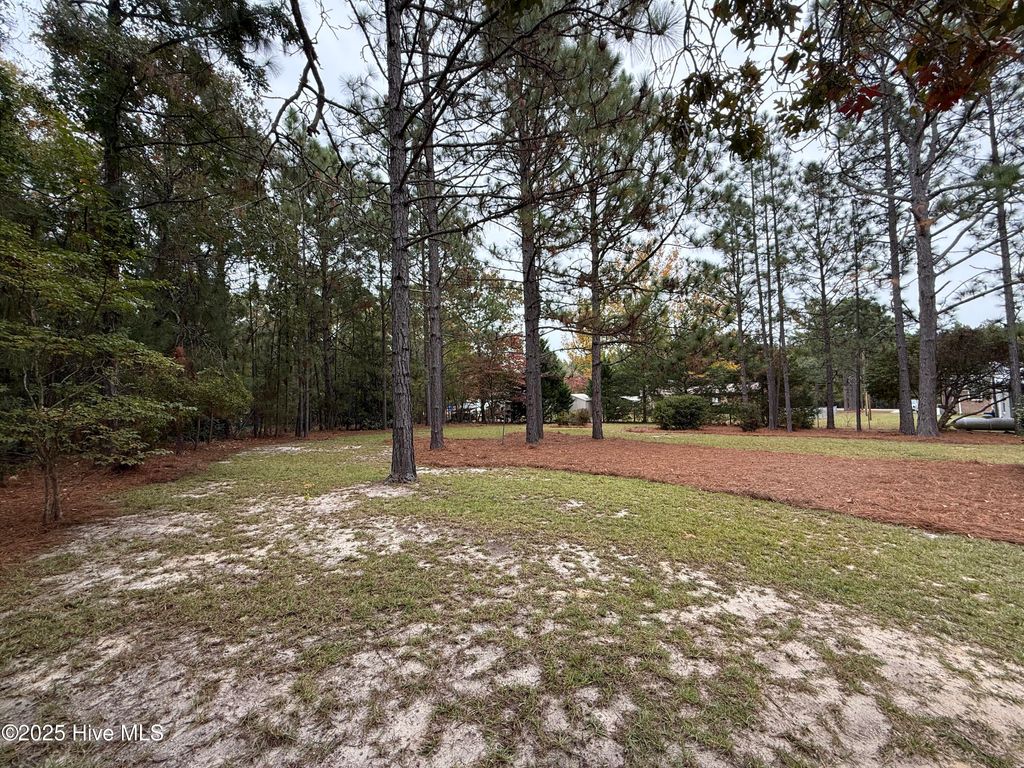 Photo of 640 E Philadelphia Avenue, Pinebluff, NC 28373 (MLS # 100538546)