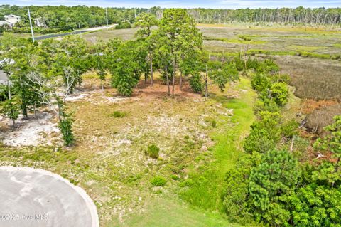 Tiny photo for 117 Mistiflower Court, Wilmington, NC 28412 (MLS # 100524087)