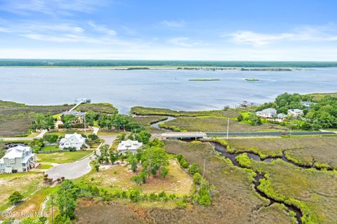 Photo of 117 Mistiflower Court, Wilmington, NC 28412 (MLS # 100524087)