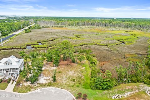 Tiny photo for 117 Mistiflower Court, Wilmington, NC 28412 (MLS # 100524087)