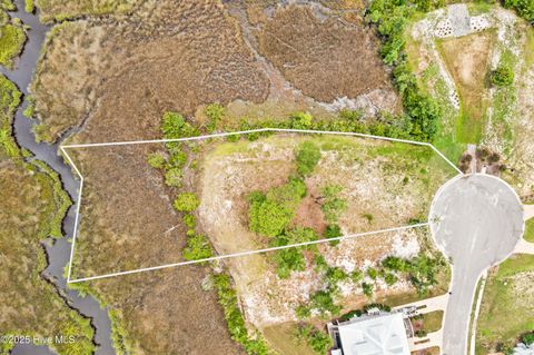 Tiny photo for 117 Mistiflower Court, Wilmington, NC 28412 (MLS # 100524087)