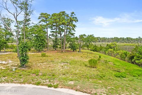 Tiny photo for 117 Mistiflower Court, Wilmington, NC 28412 (MLS # 100524087)