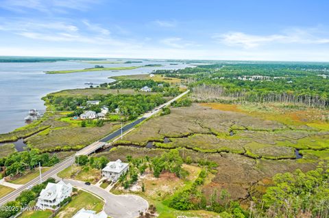 Tiny photo for 117 Mistiflower Court, Wilmington, NC 28412 (MLS # 100524087)
