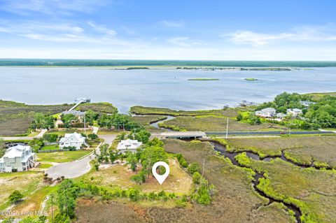Tiny photo for 117 Mistiflower Court, Wilmington, NC 28412 (MLS # 100524087)