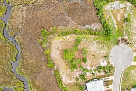 Tiny photo for 117 Mistiflower Court, Wilmington, NC 28412 (MLS # 100524087)
