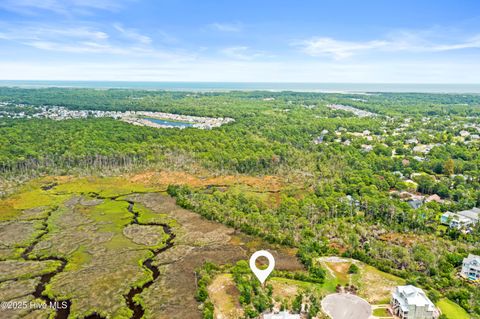 Tiny photo for 117 Mistiflower Court, Wilmington, NC 28412 (MLS # 100524087)
