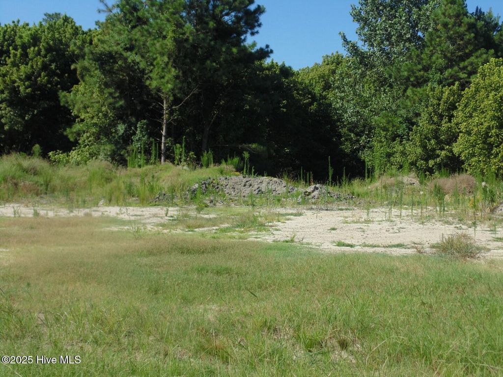 Photo of 901 S King Street, Windsor, NC 27983 (MLS # 100533767)
