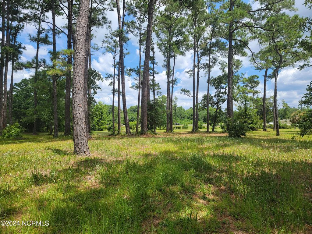 Photo of 63 Windsor Circle SW, Ocean Isle Beach, NC 28469 (MLS # 100454071)