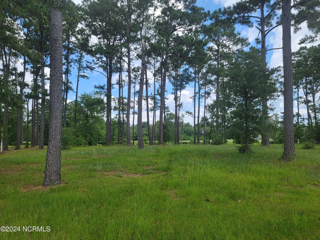 Photo of 63 Windsor Circle SW, Ocean Isle Beach, NC 28469 (MLS # 100454071)