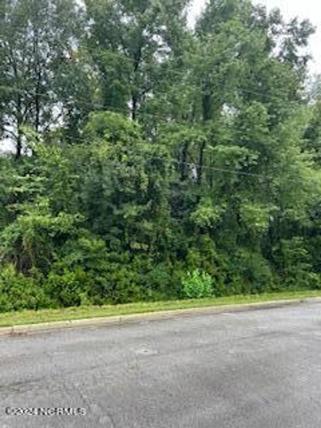 Photo of 252 Sylvester Street, Richlands, NC 28574 (MLS # 100466528)