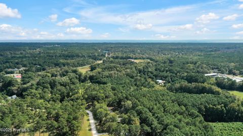 Tiny photo for 1955 Duck Haven Avenue SW, Supply, NC 28462 (MLS # 100538447)