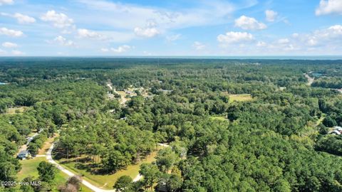 Tiny photo for 1955 Duck Haven Avenue SW, Supply, NC 28462 (MLS # 100538447)