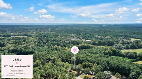 Tiny photo for 1955 Duck Haven Avenue SW, Supply, NC 28462 (MLS # 100538447)