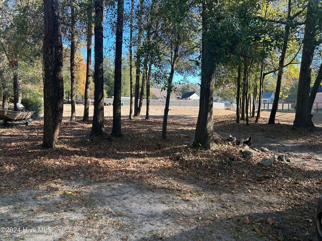 Photo of 6505 Boatway Court, Castle Hayne, NC 28429 (MLS # 100449650)
