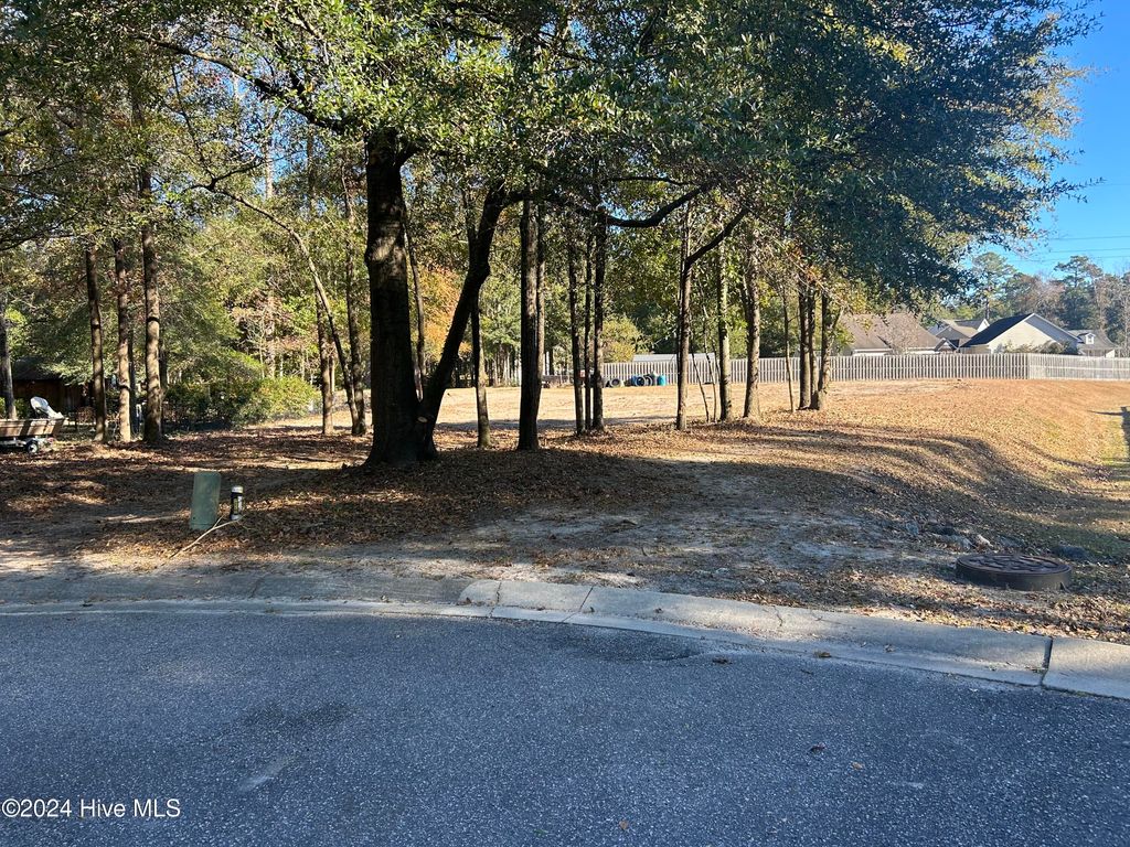 Photo of 6505 Boatway Court, Castle Hayne, NC 28429 (MLS # 100449650)