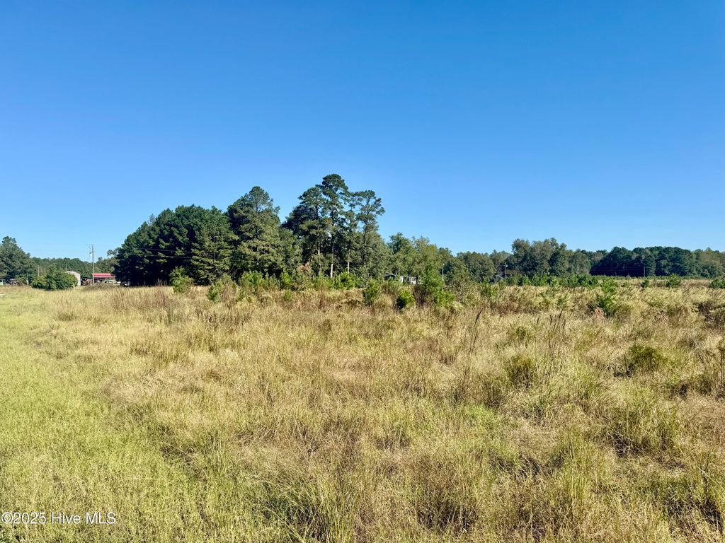 Photo of 0 Old Fayetteville Road, Garland, NC 28441 (MLS # 100536671)