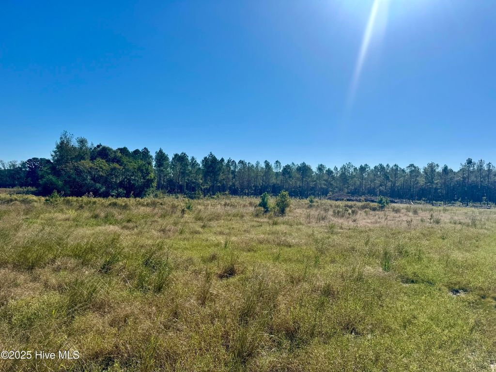 Photo of 0 Old Fayetteville Road, Garland, NC 28441 (MLS # 100536671)