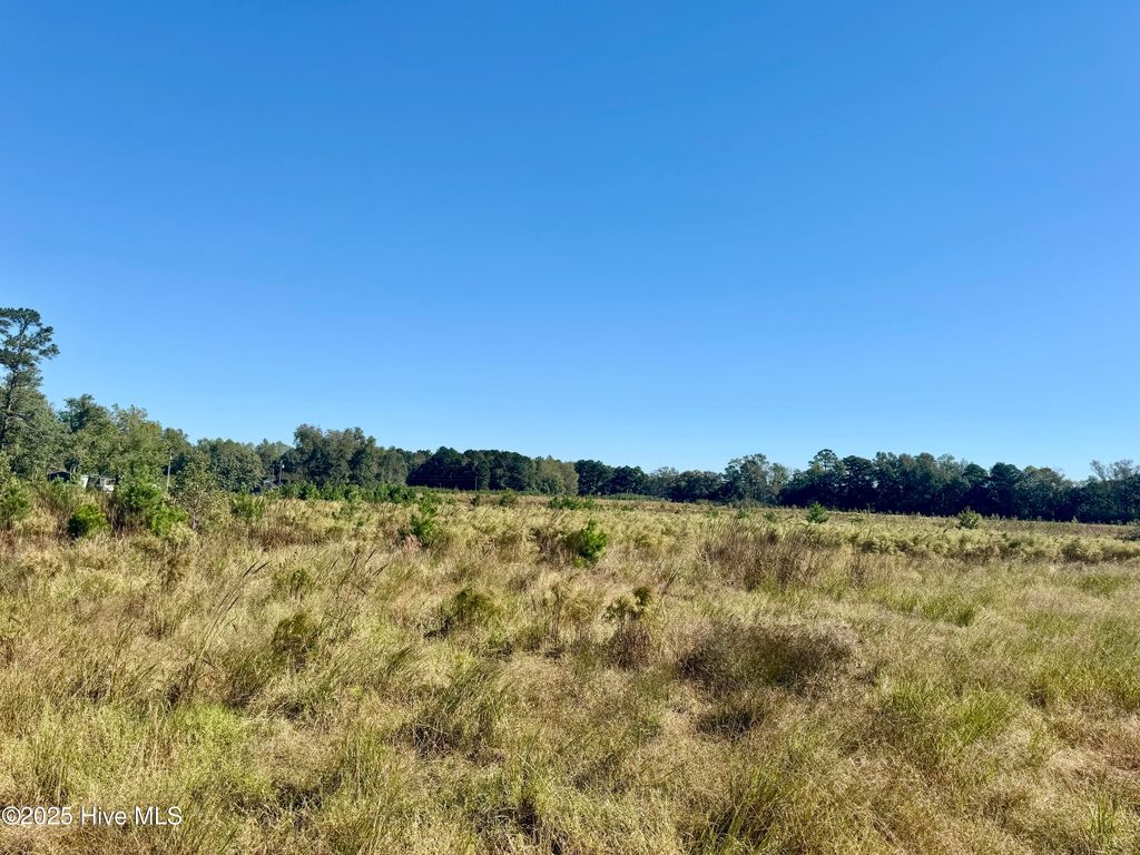 Photo of 0 Old Fayetteville Road, Garland, NC 28441 (MLS # 100536671)