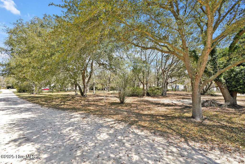 listing image 45
