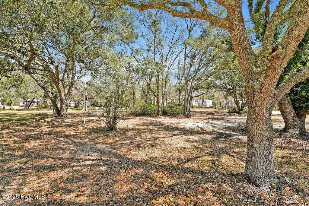 listing image 46
