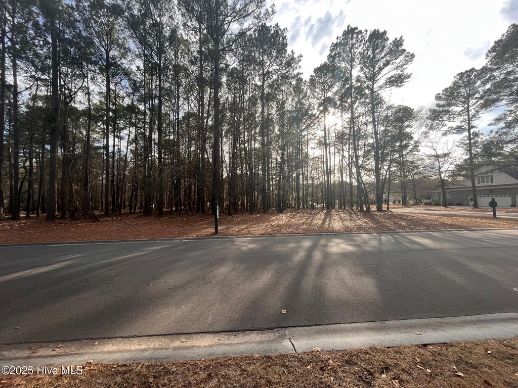 Photo of 264 Red Fox Run Drive, Wallace, NC 28466 (MLS # 100510604)