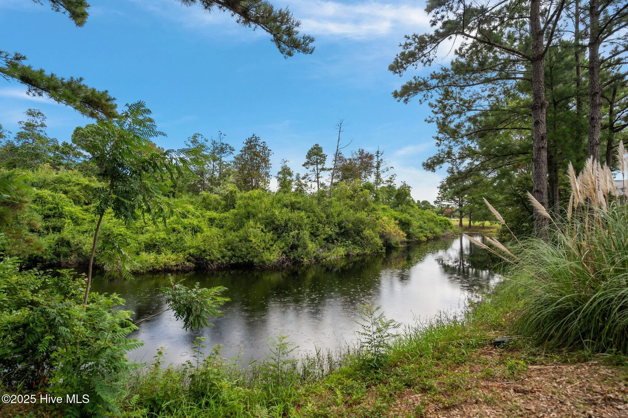 Wilmington, North Carolina 28412, United States, 4 Bedrooms Bedrooms, ,3 BathroomsBathrooms,Residential,Active,171904