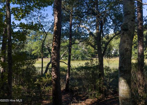 Tiny photo for 6958 Runningbrook Terrace, Wilmington, NC 28411 (MLS # 100537133)
