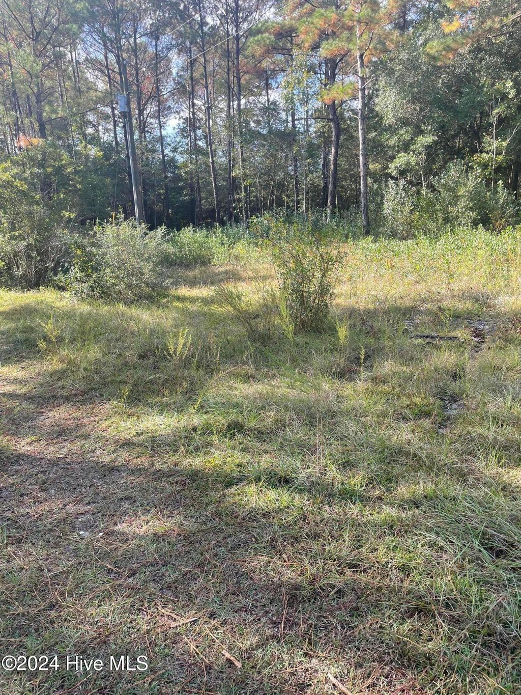 Photo of 2234 SW Red Bud Road, Supply, NC 28462 (MLS # 100476095)