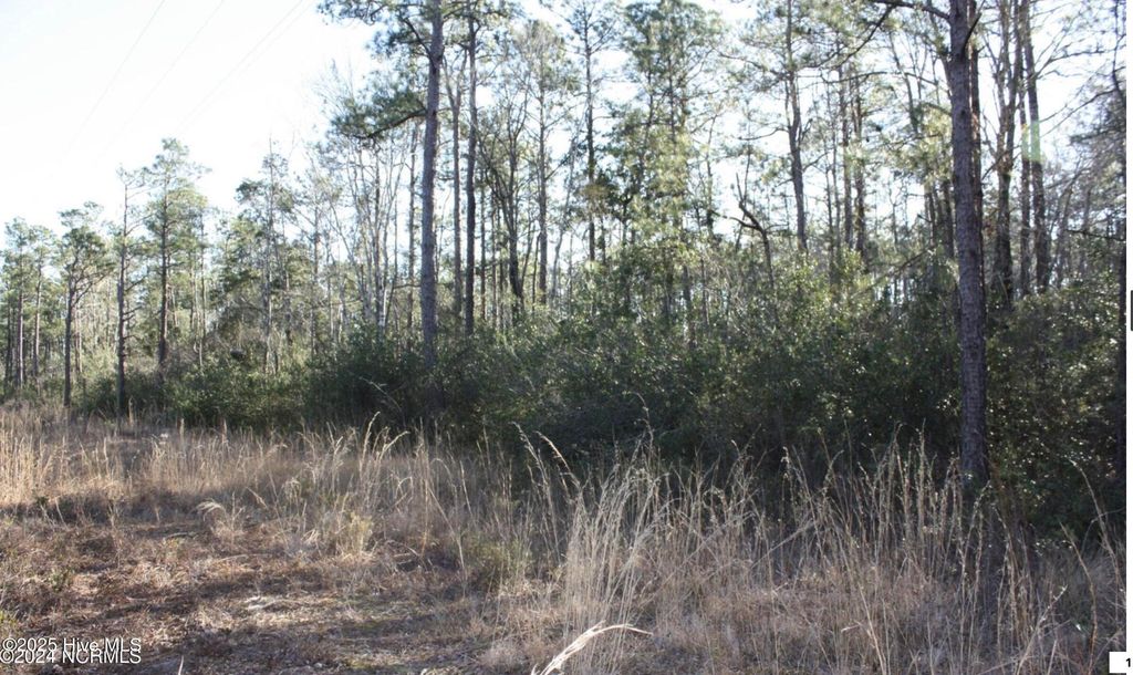 Photo of 2766 George Ii Highway SE, Southport, NC 28461 (MLS # 100529832)