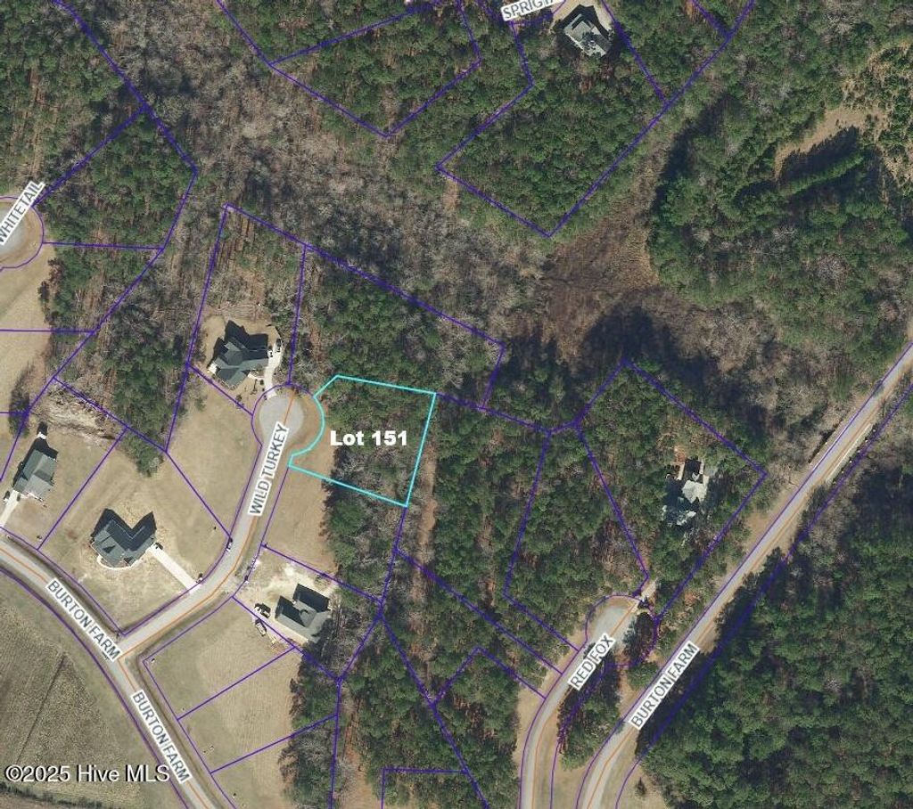 Photo of 78 Wild Turkey Lane, Minnesott Beach, NC 28510 (MLS # 100528311)