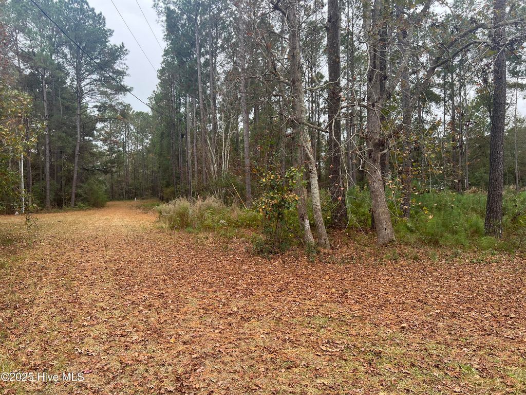 Photo of 2129 Poplar Road SW, Supply, NC 28462 (MLS # 100543427)