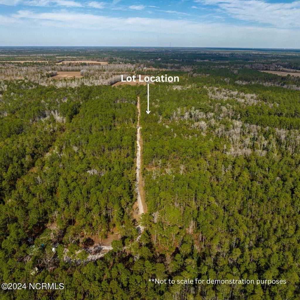 Photo of 157 N Canary Way SE, Bolivia, NC 28422 (MLS # 100472339)